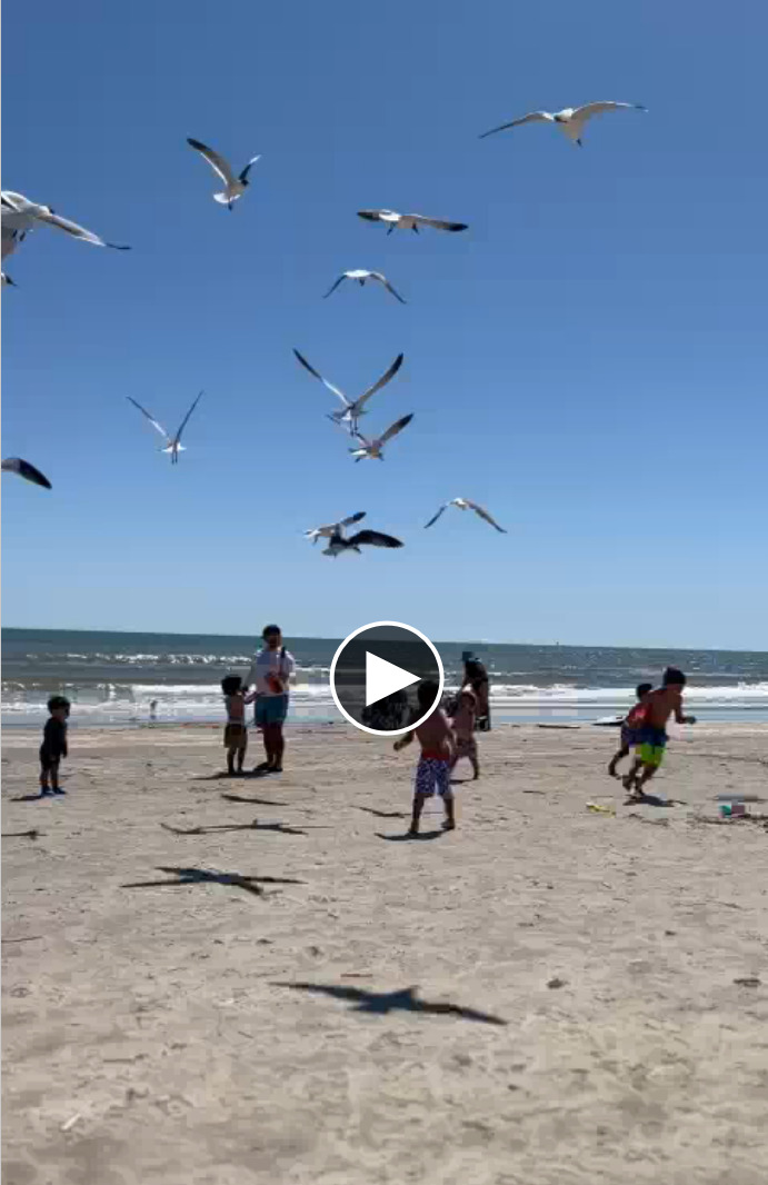 The kids at the beach 1